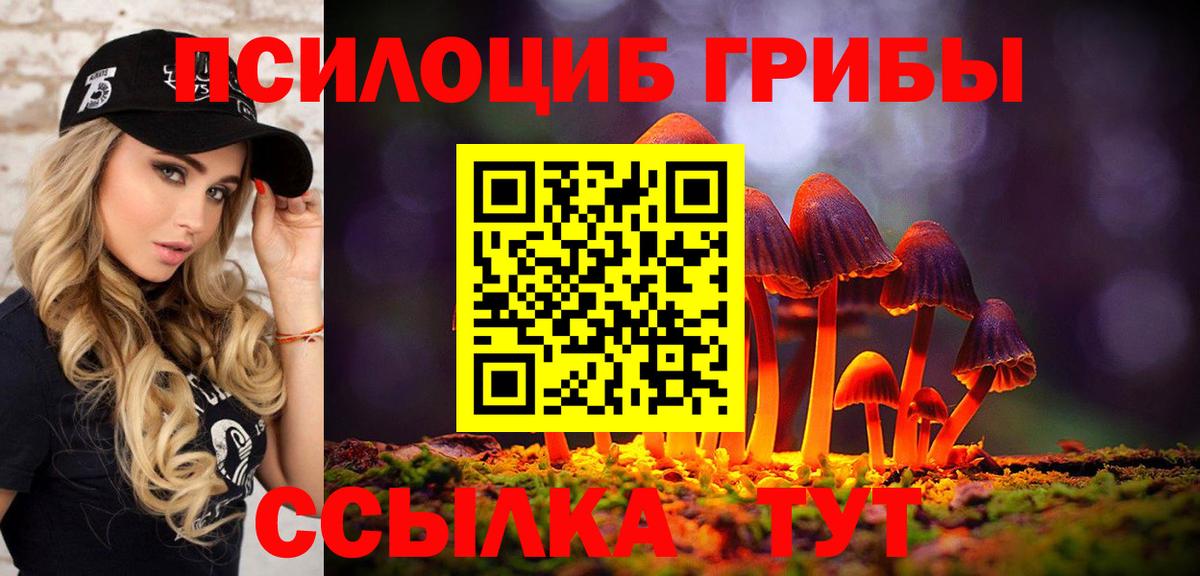Псилоцибиновые грибы Cubensis Южно-Сахалинск